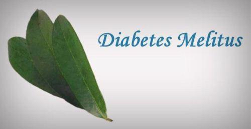 Daun sirsak untuk diabetes mellitus