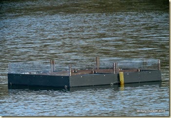 DSCN0573