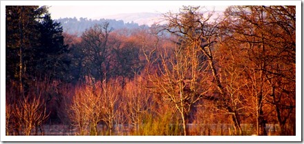 3 Feb 5 03-02-2012 11-15-05