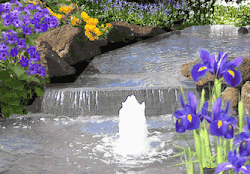 Apreciando a Natureza!!!