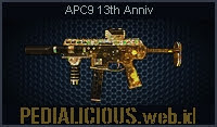 APC9 13th Anniv