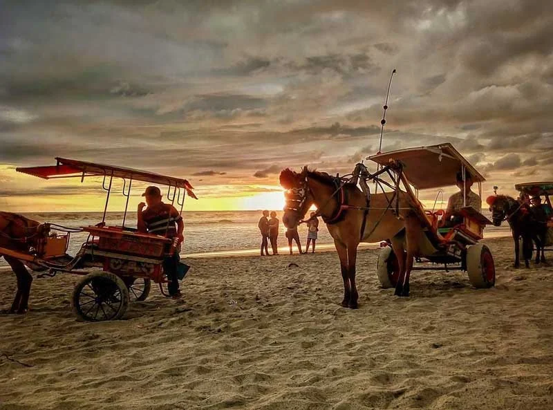 Harga Tiket Masuk Panjang Beach Bengkulu