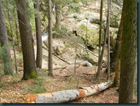 DSCN0710