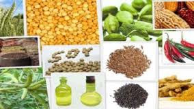 Agri commodity calls, Agri Commodity Tips, Chana Tips, Free  Commodity Tips, Free Agri Tips, MCX Tips Services, SoyaBean  Tips, Turmeric Tips, 