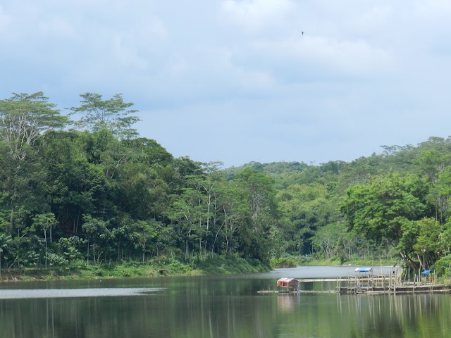 Panorama Situ Sanghiyang Tasikmalaya 