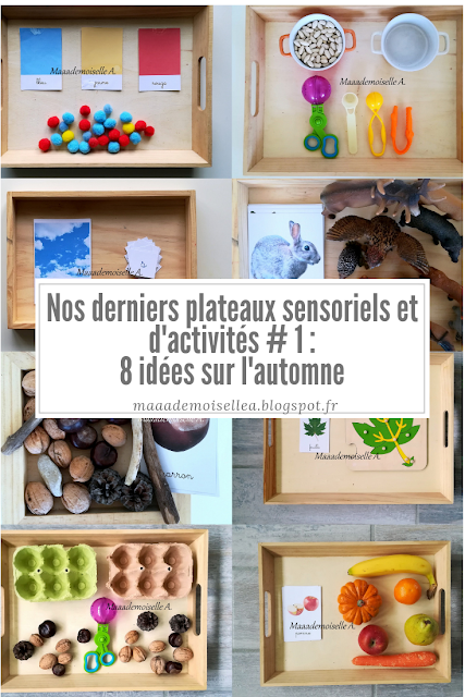 || Nos derniers plateaux sensoriels et d'activités # 1 : 8 idées sur l'automne