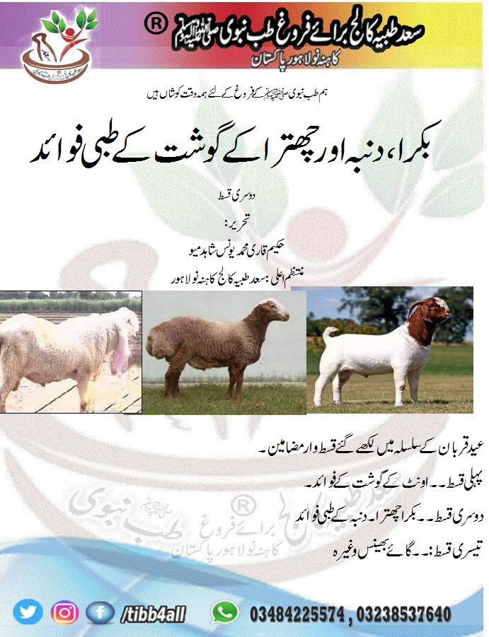 بکرا،دنبہ اور چھترا کے گوشت کےطبی فوائد۔Medical Benefits of Goat, Sheep and Umbrella Meat۔الفوائد الطبية لحوم الماعز والأغنام والمظلة