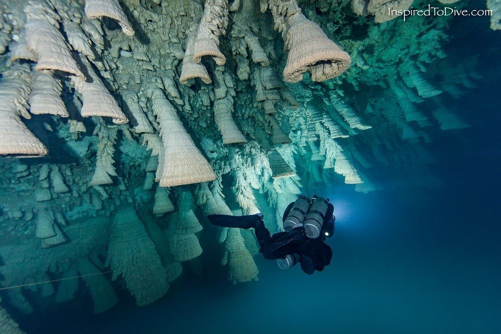 hells-bells-zapote-cenote-1 hells-bells-zapote-cenote-1