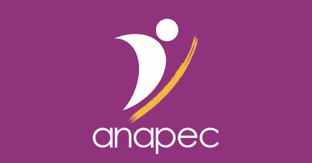 Guide pour Trouver un Emploi à l’Anapec