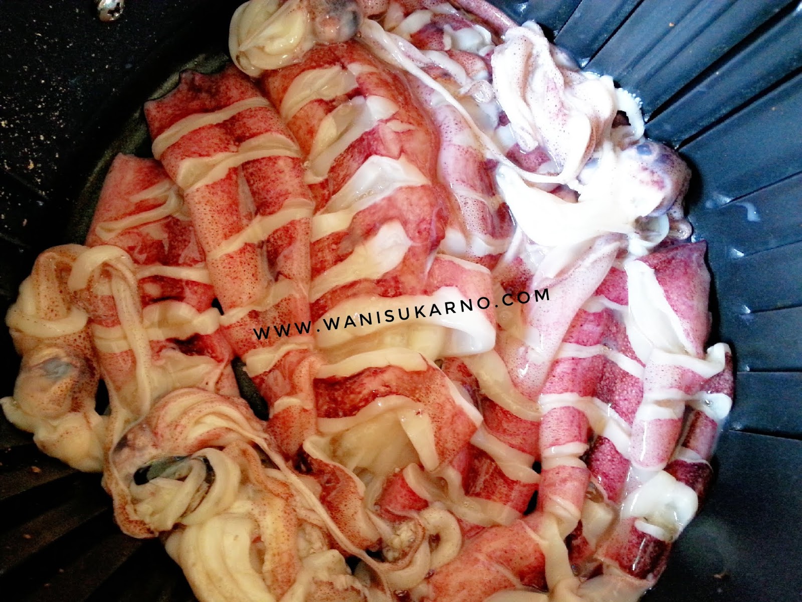 RESEPI SOTONG BAKAR THAI AIR FRYER MUDAH DAN SEDAP