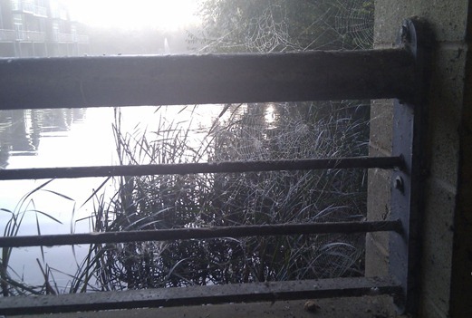 Creepy cobwebs, spooky scene