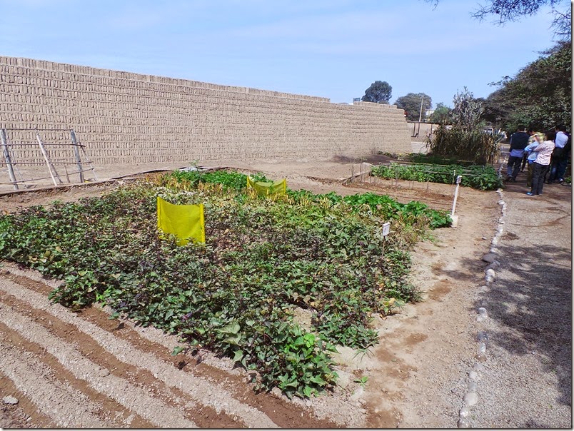Produtos agricolas