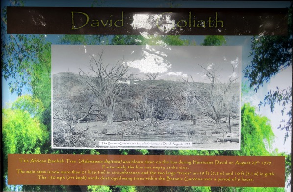 BG Hurricane David Devastation