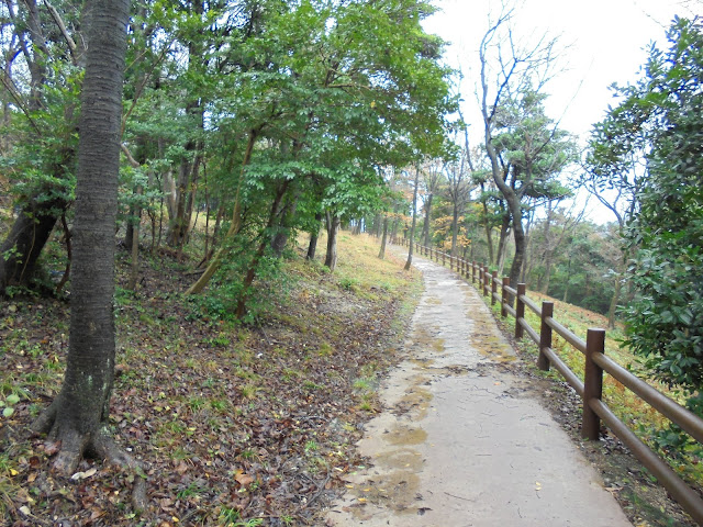 弥生の森の遊歩道