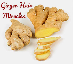 Ginger health, ginger for health, ginger health benefits, ginger oil health benefits, ginger pulp health benefits, ginger juice health benefits, Ginger hair, ginger for hair, ginger hair benefits, ginger oil hair benefits, ginger pulp hair benefits, ginger juice hair benefits, Ginger , ginger tea, ginger uses, ginger benefits , ginger uses and benefits, ginger tea uses and benefits, ginger oil, ginger oil uses , ginger oil uses and benefits, ginger oil benefits, ginger juice, ginger juice uses, ginger juice benefits, ginger juice uses and benefits, ginger pulp, ginger pulp uses, ginger pulp benefits, ginger pulp uses and benefits, ginger uses for hair, ginger benefits  for hair, ginger uses and benefits for hair, ginger tea uses and benefits  for hair, ginger oil  for hair, ginger oil uses for hair, ginger oil uses and benefits for hair, ginger oil benefits  for hair, ginger juice for hair, ginger juice uses for hair, ginger juice benefits for hair, ginger juice uses and benefits for hair, ginger pulp for hair , ginger pulp uses for hair, ginger pulp benefits for hair, ginger pulp uses and benefits for hair, winter dandruff, dandruff in winters, dandruff in snow, dandruff in snow season, dandruff in winter season, dandruff in cold, dandruff in cold season, dandruff in winter months, winter dandruff, snow dandruff, cold dandruff, dry dandruff, difference between summer and winter dandruff, anti dandruff home remedies for winters, anti dandruff home remedies for winter season, anti dandruff home remedies for cold weather, anti dandruff home remedies for snow weather,Home remedies foe dandruff,home remedies, dandruff treatment,Lemon,vinegar,Oil,Coconut oil,mustard oil,olive oil,camphor,castor oil,dandruff,dandruff treatment at home,India,hair,long hair,pretty,beautiful,dandruff free hair,anti dandruff treatment.,clean hair,clear dandruff,beautiful hair,treating dandruff at home,treat dandruff with things in kitchen,treat dandruff with vinegar, treat dandruff with lemon,treat dandruff with lemon and oil,treat dandruff with camphor and oil,How to get long hair , how to get strong hair, how to get long and strong hair, how to get shinny hair , how to condition hair, how to make hair shine, how to make hair strong, how to get strong hair, how to get strong and black hair, how to get strong and shinny hair, how to condition hair at hone, how to stop hair fall, how to reduce hair fall, how to get dandruff free hair, how to remove dandruff from hair, how to wash dandruff, how to get long hair fast, how to get strong jair fast, how to get black hair fast, how to treat dandruff at home , how to treat frizzy hair, how to treat rough hair, how to treat dead hair, how to get rid if frizzy hair, how to get rid of rough hair, how to get rid of dull hair, dull hair, frizzy hair, hair fall, hairfall, dandruff, dandruff in hair, dirty hair, falling hair, split ends, rough hair, strong hair, shinny hair, soft hair, long hair, healthy hair, how to make hair strong, how to make hair soft , how to make hair growth fast, how to get good hair, how to get beautiful hair, home remedies, home remedies for hair, home remedies for healthy hair , home remedies for smooth hair, home remedies for silky hair, home remedies for dandruff, home remedies for split ends, home remedies for dry hair, home remedies for hair fall, home remedies for hair fall, home remedies for dense hair, home remedies for thick hair, home remedies for black hair, home remedies for frizzy hair, hone remedies for rough hair , home remedies for oily hair, home remedies for rainy season, home remedies to increase hair growth, home remedies to increase hair strength, home remedies for strong hair, hair mask, home made hair mask, hair pack, home made hair pack, home made hair pack for frizzy hair, home made hair pack for thick hair, home made hair pack for smooth hair, curd for hair, curd pack for hair, curd hair pack, home made curd pack, home made curd hair pack, how to use curd for hair, how to use curd, how to use curd in hair, how to use curd pack, how to use curd hair pack, use curd in hair, use curd in hair for thick hair, uses of curd, uses of curd in hair, curd as a home remedy, use curd for soft hair, use curd for thick hair, use curd for long hair, use curd for dense hair, use curd for frizzy hair, use curd for hair fall, use curd for dandruff, use curd for healthy hair, use curd for  silky hair, use cured for long and strong hair, use curd as a conditioner, home made hair conditioner, home made conditioner, curd as home made conditioner, how to make conditioner, how to make home made hair conditioner, how to make conditioner at home, how to make conditioner,Home remedy for thick and smooth hair, How to take care if hair, how to take care of long hair, how to take care of short hair , how to take care of medium hair, how to wash long hair , how to wash short hair, how to wash medium hair, how to get long hair, how to increase the growth if hair, how to get rid of split ends, how to cut split ends, how to cut split ends at home, how to shampoo hair, how to shampoo long hair, how to shampoo short hair, how to condition long hair, how to condition short hair,how to cut hair at home, how to stop hair fall, how to increase hair growth, how to reduce hair fall, how to improve the texture of hair, how to get soft hair, how to get silky hair, how to get smooth and silky hair, how to get beautiful hair, how to get long and beautiful hair, how to get shining hair, how to get smooth and shining hair,  How to maintain hair, how to maintain long hair, how to maintain short hair, how to maintain medium hair, how to maintain hair texture, how to get straight hair, hair care, hair cate tips, general hair care tips, hair care guidelines, general hair cate guide lines, hair , care, how to take care of hair, basic hair care tips, basic hair care guidelines, basic hair care, take care of your hair, stop hair fall, home remedies for hair care, home remedies for general hair care,How to get long hair , how to get strong hair, how to get long and strong hair, how to get shinny hair , how to condition hair, how to make hair shine, how to make hair strong, how to get strong hair, how to get strong and black hair, how to get strong and shinny hair, how to condition hair at hone, how to stop hair fall, how to reduce hair fall, how to get dandruff free hair, how to remove dandruff from hair, how to wash dandruff, how to get long hair fast, how to get strong jair fast, how to get black hair fast, how to treat dandruff at home , how to treat frizzy hair, how to treat rough hair, how to treat dead hair, how to get rid if frizzy hair, how to get rid of rough hair, how to get rid of dull hair, dull hair, frizzy hair, hair fall, hairfall, dandruff, dandruff in hair, dirty hair, falling hair, split ends, rough hair, strong hair, shinny hair, soft hair, long hair, healthy hair, how to make hair strong, how to make hair soft , how to make hair growth fast, how to get good hair, how to get beautiful hair, home remedies, home remedies for hair, home remedies for healthy hair , home remedies for smooth hair, home remedies for silky hair, home remedies for dandruff, home remedies for split ends, home remedies for dry hair, home remedies for hair fall, home remedies for hair fall, home remedies for dense hair, home remedies for thick hair, home remedies for black hair, home remedies for frizzy hair, hone remedies for rough hair , home remedies for oily hair, home remedies for rainy season, home remedies to increase hair growth, home remedies to increase hair strength, home remedies for strong hair, hair mask, home made hair mask, hair pack, home made hair pack, home made hair pack for frizzy hair, home made hair pack for thick hair, home made hair pack for smooth hair, curd for hair, curd pack for hair, curd hair pack, home made curd pack, home made curd hair pack, how to use curd for hair, how to use curd, how to use curd in hair, how to use curd pack, how to use curd hair pack, use curd in hair, use curd in hair for thick hair, uses of curd, uses of curd in hair, curd as a home remedy, use curd for soft hair, use curd for thick hair, use curd for long hair, use curd for dense hair, use curd for frizzy hair, use curd for hair fall, use curd for dandruff, use curd for healthy hair, use curd for  silky hair, use cured for long and strong hair, use curd as a conditioner, home made hair conditioner, home made conditioner, curd as home made conditioner, how to make conditioner, how to make home made hair conditioner, how to make conditioner at home, how to make conditioner,Home remedy for thick and smooth hair, Eggs, egg, how to use egg, how to egg, use eggs, egg white egg yolk,how to use egg white , how to use egg yellow, how to use egg yolk , how to use egg for hair, how to use whore egg for hair , how to use egg white for hair, how to use egg yolk for hair, how to use egg for dry hair, how to use egg for oily hair , how to use egg for normal hair, how to use egg white for dry hair, how to use egg white for oily hair, how to use egg white for normal hair, how to use egg yolk for oily hair, how to use egg yolk for dry hair, how to use egg yolk for normal hair, how to use egg white for hair, how to use egg yolk for hair, how to use egg for dandruff, how to use egg white for dandruff, how to use egg yolk for dandruff, how to use egg for shinny hair, how to use egg white for shinny hair, how to use egg yellow for shinny hair, egg conditioner, egg hair conditioner, egg white conditioner, egg white hair conditioner, egg yolk hair conditioner , egg yolk conditioner, egg pack , egg hair pack, egg yolk pack, egg yolk hair pack, egg white pack, egg white hair pack,Home remedies foe dandruff,home remedies, dandruff treatment,Lemon,vinegar,Oil,Coconut oil,mustard oil,olive oil,camphor,castor oil,dandruff,dandruff treatment at home,India,hair,long hair,pretty,beautiful,dandruff free hair,anti dandruff treatment.,clean hair,clear dandruff,beautiful hair,treating dandruff at home,treat dandruff with things in kitchen,treat dandruff with vinegar, treat dandruff with lemon,treat dandruff with lemon and oil,treat dandruff with camphor and oil,Home remidies for shiney hair,home remidy for shiny hair,hime remidy for frizz free hair,hone made hair mask,home made hair spa,hair spa,home made deep conditioner,home made deep conditioner for hair,home made hair treatment,home remidues for hair,how to deep condition hair at home,how to use honey for hair,how to use honey to soften hair,how to soften hair with thing akready avaliable in kitchen,home made hair treatment,homemade hair treatment,less expensive ways to soften hair,less expensive hair masks,hone made hair mask,home made deep conditioner,honey,coconut oil,how to apply oil and honey in hair,weekly deep conditioner for hair,homemade hair spa,home made hair spa,how to make hair spa at home, how to make conditioner at home,how to make hair conditioner at home,how to make deep conditioner for hair at home,how to make hair mask at home,how to get shiny hai, how to get frizz free hair,how to improve texture of hair, easy ways to get shiney hair,easy ways to get frizz free hair, my recipe of home made hair spa,how i deep condition hair at home,hair spa,hair treatment at no cost, free hair treatment,free hair treatment at home,free hair spa at home,free hair conditioning at home, oil and honey mask for hair,coconut oil and honey deep conditiober for hair,coconut oil and honey treatment for hair, how to get rid of frizzy hair,how to get rid of rough hair,hiw to get shiny healthy hair,best hair conditioner,best hair spa,best hair treatment,less expensive ways to make hair smooth,less expensive hair spa,less expensive hair treatment,less expensive ways to treat hair,less expensive hair mask,less expensive ways to treat hair, home remidies,shiney hair,smooth hair,healthy hair,how to get healthy hair,how to get shiny hair,how to get smooth hair, how to get healthy hair at low cost ,how to get smooth hair at low,hair spa at low cost,hair deep cobditiober at low cost,how to get beautiful hair,best metnod to get smooth hair,indian home remidy to get healthy hair, how to get healthy hair,home remidy for healthy hair,how i deep condition hair at home,hair,hair mask,derp conditioning hair,hair spa,oiling hair,cinditioning hair,hair treatment,home made hair treatment,excellent hair treatment, low cost hair treatment,low cost hair spa, low cost ,easy tips to improve hair,low cost alternatives for  expensive hair treatments,low cost alternatives for expensive hair spa,low cost alternatives for evpensive deep contitioning,home made conditioner for hair,hot oil massage,get beautiful hair free,get shiney hair free,get beautiful hair in 2 hours,instant hair spa,instant hair conditioner,instant hair treatment,haircare, hair syyles,hair care routine, how to take care of hair,How to get long hair , how to get strong hair, how to get long and strong hair, how to get shinny hair , how to condition hair, how to make hair shine, how to make hair strong, how to get strong hair, how to get strong and black hair, how to get strong and shinny hair, how to condition hair at hone, how to stop hair fall, how to reduce hair fall, how to get dandruff free hair, how to remove dandruff from hair, how to wash dandruff, how to get long hair fast, how to get strong jair fast, how to get black hair fast, how to treat dandruff at home , how to treat frizzy hair, how to treat rough hair, how to treat dead hair, how to get rid if frizzy hair, how to get rid of rough hair, how to get rid of dull hair, dull hair, frizzy hair, hair fall, hairfall, dandruff, dandruff in hair, dirty hair, falling hair, split ends, rough hair, strong hair, shinny hair, soft hair, long hair, healthy hair, how to make hair strong, how to make hair soft , how to make hair growth fast, how to get good hair, how to get beautiful hair, home remedies, home remedies for hair, home remedies for healthy hair , home remedies for smooth hair, home remedies for silky hair, home remedies for dandruff, home remedies for split ends, home remedies for dry hair, home remedies for hair fall, home remedies for hair fall, home remedies for dense hair, home remedies for thick hair, home remedies for black hair, home remedies for frizzy hair, hone remedies for rough hair , home remedies for oily hair, home remedies for rainy season, home remedies to increase hair growth, home remedies to increase hair strength, home remedies for strong hair, hair mask, home made hair mask, hair pack, home made hair pack, home made hair pack for frizzy hair, home made hair pack for thick hair, home made hair pack for smooth hair, curd for hair, curd pack for hair, curd hair pack, home made curd pack, home made curd hair pack, how to use curd for hair, how to use curd, how to use curd in hair, how to use curd pack, how to use curd hair pack, use curd in hair, use curd in hair for thick hair, uses of curd, uses of curd in hair, curd as a home remedy, use curd for soft hair, use curd for thick hair, use curd for long hair, use curd for dense hair, use curd for frizzy hair, use curd for hair fall, use curd for dandruff, use curd for healthy hair, use curd for  silky hair, use cured for long and strong hair, use curd as a conditioner, home made hair conditioner, home made conditioner, curd as home made conditioner, how to make conditioner, how to make home made hair conditioner, how to make conditioner at home, how to make conditioner,Home remedy for thick and smooth hair,Home%20Remedies,how to colour your hair, how to colour hair naturally, home remedies to colour hair,how to make hair colour at home,how to make ammonia free hair colour,how to colour hair at home,how to colour hair without damaginag them,how to condition hair, hoe to colour hair with tea, how to colour hair with tea leaves,how to colour hair with black tea, harmless hair colour,chemical free hair colour,best hair colour,colour hair at home,colour hair at home in no time, easy way to colour your hair,easy ways to colour hair,safely colour hair, how to colour hair yourself,save money on hair colour,home remedies for coloured hair,home remedies to colour hair,home made hair colour,natural hair colour,home made hair dye,natural hair dye, how to dye hair at home,how to dye hair safely at home,herbal hair colour,grey hair dye recipes,how do i make home made hair dye, home remedies, hair cair tips, how to take care of hair,how to make herbal hair coloue,indian home remedies,home remedies blog,blogger, blogger india,blogspot india, indian bloggers, beauty blog, fashion blog, beauty and fashion blog,indian beauty blog, indian fashion blog, indian beauty and fashion blog, natural hairs, black hair, how to get black and shiny hairs, insian bloggers on blogspot, home remedis on hair, home remedies for hair,hair care,latest hair trends 2013, latest fashion trends 2013, summer trends 2013,Eggs, egg, how to use egg, how to egg, use eggs, egg white egg yolk,how to use egg white , how to use egg yellow, how to use egg yolk , how to use egg for hair, how to use whore egg for hair , how to use egg white for hair, how to use egg yolk for hair, how to use egg for dry hair, how to use egg for oily hair , how to use egg for normal hair, how to use egg white for dry hair, how to use egg white for oily hair, how to use egg white for normal hair, how to use egg yolk for oily hair, how to use egg yolk for dry hair, how to use egg yolk for normal hair, how to use egg white for hair, how to use egg yolk for hair, how to use egg for dandruff, how to use egg white for dandruff, how to use egg yolk for dandruff, how to use egg for shinny hair, how to use egg white for shinny hair, how to use egg yellow for shinny hair, egg conditioner, egg hair conditioner, egg white conditioner, egg white hair conditioner, egg yolk hair conditioner , egg yolk conditioner, egg pack , egg hair pack, egg yolk pack, egg yolk hair pack, egg white pack, egg white hair pack,Home remedies foe dandruff,home remedies, dandruff treatment,Lemon,vinegar,Oil,Coconut oil,mustard oil,olive oil,camphor,castor oil,dandruff,dandruff treatment at home,India,hair,long hair,pretty,beautiful,dandruff free hair,anti dandruff treatment.,clean hair,clear dandruff,beautiful hair,treating dandruff at home,treat dandruff with things in kitchen,treat dandruff with vinegar, treat dandruff with lemon,treat dandruff with lemon and oil,treat dandruff with camphor and oil,Home remidies for shiney hair,home remidy for shiny hair,hime remidy for frizz free hair,hone made hair mask,home made hair spa,hair spa,home made deep conditioner,home made deep conditioner for hair,home made hair treatment,home remidues for hair,how to deep condition hair at home,how to use honey for hair,how to use honey to soften hair,how to soften hair with thing akready avaliable in kitchen,home made hair treatment,homemade hair treatment,less expensive ways to soften hair,less expensive hair masks,hone made hair mask,home made deep conditioner,honey,coconut oil,how to apply oil and honey in hair,weekly deep conditioner for hair,homemade hair spa,home made hair spa,how to make hair spa at home, how to make conditioner at home,how to make hair conditioner at home,how to make deep conditioner for hair at home,how to make hair mask at home,how to get shiny hai, how to get frizz free hair,how to improve texture of hair, easy ways to get shiney hair,easy ways to get frizz free hair, my recipe of home made hair spa,how i deep condition hair at home,hair spa,hair treatment at no cost, free hair treatment,free hair treatment at home,free hair spa at home,free hair conditioning at home, oil and honey mask for hair,coconut oil and honey deep conditiober for hair,coconut oil and honey treatment for hair, how to get rid of frizzy hair,how to get rid of rough hair,hiw to get shiny healthy hair,best hair conditioner,best hair spa,best hair treatment,less expensive ways to make hair smooth,less expensive hair spa,less expensive hair treatment,less expensive ways to treat hair,less expensive hair mask,less expensive ways to treat hair, home remidies,shiney hair,smooth hair,healthy hair,how to get healthy hair,how to get shiny hair,how to get smooth hair, how to get healthy hair at low cost ,how to get smooth hair at low,hair spa at low cost,hair deep cobditiober at low cost,how to get beautiful hair,best metnod to get smooth hair,indian home remidy to get healthy hair, how to get healthy hair,home remidy for healthy hair,how i deep condition hair at home,hair,hair mask,derp conditioning hair,hair spa,oiling hair,cinditioning hair,hair treatment,home made hair treatment,excellent hair treatment, low cost hair treatment,low cost hair spa, low cost ,easy tips to improve hair,low cost alternatives for  expensive hair treatments,low cost alternatives for expensive hair spa,low cost alternatives for evpensive deep contitioning,home made conditioner for hair,hot oil massage,get beautiful hair free,get shiney hair free,get beautiful hair in 2 hours,instant hair spa,instant hair conditioner,instant hair treatment,haircare, hair syyles,hair care routine, how to take care of hair,How to get long hair , how to get strong hair, how to get long and strong hair, how to get shinny hair , how to condition hair, how to make hair shine, how to make hair strong, how to get strong hair, how to get strong and black hair, how to get strong and shinny hair, how to condition hair at hone, how to stop hair fall, how to reduce hair fall, how to get dandruff free hair, how to remove dandruff from hair, how to wash dandruff, how to get long hair fast, how to get strong jair fast, how to get black hair fast, how to treat dandruff at home , how to treat frizzy hair, how to treat rough hair, how to treat dead hair, how to get rid if frizzy hair, how to get rid of rough hair, how to get rid of dull hair, dull hair, frizzy hair, hair fall, hairfall, dandruff, dandruff in hair, dirty hair, falling hair, split ends, rough hair, strong hair, shinny hair, soft hair, long hair, healthy hair, how to make hair strong, how to make hair soft , how to make hair growth fast, how to get good hair, how to get beautiful hair, home remedies, home remedies for hair, home remedies for healthy hair , home remedies for smooth hair, home remedies for silky hair, home remedies for dandruff, home remedies for split ends, home remedies for dry hair, home remedies for hair fall, home remedies for hair fall, home remedies for dense hair, home remedies for thick hair, home remedies for black hair, home remedies for frizzy hair, hone remedies for rough hair , home remedies for oily hair, home remedies for rainy season, home remedies to increase hair growth, home remedies to increase hair strength, home remedies for strong hair, hair mask, home made hair mask, hair pack, home made hair pack, home made hair pack for frizzy hair, home made hair pack for thick hair, home made hair pack for smooth hair, curd for hair, curd pack for hair, curd hair pack, home made curd pack, home made curd hair pack, how to use curd for hair, how to use curd, how to use curd in hair, how to use curd pack, how to use curd hair pack, use curd in hair, use curd in hair for thick hair, uses of curd, uses of curd in hair, curd as a home remedy, use curd for soft hair, use curd for thick hair, use curd for long hair, use curd for dense hair, use curd for frizzy hair, use curd for hair fall, use curd for dandruff, use curd for healthy hair, use curd for  silky hair, use cured for long and strong hair, use curd as a conditioner, home made hair conditioner, home made conditioner, curd as home made conditioner, how to make conditioner, how to make home made hair conditioner, how to make conditioner at home, how to make conditioner,Home remedy for thick and smooth hair,Home%20Remedies,how to colour your hair, how to colour hair naturally, home remedies to colour hair,how to make hair colour at home,how to make ammonia free hair colour,how to colour hair at home,how to colour hair without damaginag them,how to condition hair, hoe to colour hair with tea, how to colour hair with tea leaves,how to colour hair with black tea, harmless hair colour,chemical free hair colour,best hair colour,colour hair at home,colour hair at home in no time, easy way to colour your hair,easy ways to colour hair,safely colour hair, how to colour hair yourself,save money on hair colour,home remedies for coloured hair,home remedies to colour hair,home made hair colour,natural hair colour,home made hair dye,natural hair dye, how to dye hair at home,how to dye hair safely at home,herbal hair colour,grey hair dye recipes,how do i make home made hair dye, home remedies, hair cair tips, how to take care of hair,how to make herbal hair coloue,indian home remedies,home remedies blog,blogger, blogger india,blogspot india, indian bloggers, beauty blog, fashion blog, beauty and fashion blog,indian beauty blog, indian fashion blog, indian beauty and fashion blog, natural hairs, black hair, how to get black and shiny hairs, insian bloggers on blogspot, home remedis on hair, home remedies for hair,hair care,latest hair trends 2013, latest fashion trends 2013, summer trends 2013,How to get long hair , how to get strong hair, how to get long and strong hair, how to get shinny hair , how to condition hair, how to make hair shine, how to make hair strong, how to get strong hair, how to get strong and black hair, how to get strong and shinny hair, how to condition hair at hone, how to stop hair fall, how to reduce hair fall, how to get dandruff free hair, how to remove dandruff from hair, how to wash dandruff, how to get long hair fast, how to get strong jair fast, how to get black hair fast, how to treat dandruff at home , how to treat frizzy hair, how to treat rough hair, how to treat dead hair, how to get rid if frizzy hair, how to get rid of rough hair, how to get rid of dull hair, dull hair, frizzy hair, hair fall, hairfall, dandruff, dandruff in hair, dirty hair, falling hair, split ends, rough hair, strong hair, shinny hair, soft hair, long hair, healthy hair, how to make hair strong, how to make hair soft , how to make hair growth fast, how to get good hair, how to get beautiful hair, home remedies, home remedies for hair, home remedies for healthy hair , home remedies for smooth hair, home remedies for silky hair, home remedies for dandruff, home remedies for split ends, home remedies for dry hair, home remedies for hair fall, home remedies for hair fall, home remedies for dense hair, home remedies for thick hair, home remedies for black hair, home remedies for frizzy hair, hone remedies for rough hair , home remedies for oily hair, home remedies for rainy season, home remedies to increase hair growth, home remedies to increase hair strength, home remedies for strong hair, hair mask, home made hair mask, hair pack, home made hair pack, home made hair pack for frizzy hair, home made hair pack for thick hair, home made hair pack for smooth hair, curd for hair, curd pack for hair, curd hair pack, home made curd pack, home made curd hair pack, how to use curd for hair, how to use curd, how to use curd in hair, how to use curd pack, how to use curd hair pack, use curd in hair, use curd in hair for thick hair, uses of curd, uses of curd in hair, curd as a home remedy, use curd for soft hair, use curd for thick hair, use curd for long hair, use curd for dense hair, use curd for frizzy hair, use curd for hair fall, use curd for dandruff, use curd for healthy hair, use curd for  silky hair, use cured for long and strong hair, use curd as a conditioner, home made hair conditioner, home made conditioner, curd as home made conditioner, how to make conditioner, how to make home made hair conditioner, how to make conditioner at home, how to make conditioner,Home remedy for thick and smooth hair,Home remedies foe dandruff,home remedies, dandruff treatment,Lemon,vinegar,Oil,Coconut oil,mustard oil,olive oil,camphor,castor oil,dandruff,dandruff treatment at home,India,hair,long hair,pretty,beautiful,dandruff free hair,anti dandruff treatment.,clean hair,clear dandruff,beautiful hair,treating dandruff at home,treat dandruff with things in kitchen,treat dandruff with vinegar, treat dandruff with lemon,treat dandruff with lemon and oil,treat dandruff with camphor and oil