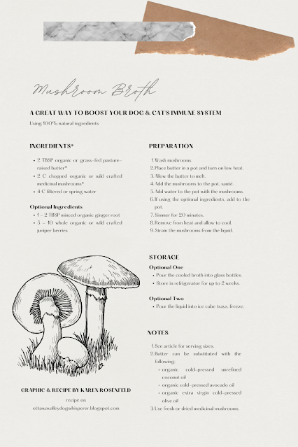 Shareable mushroom broth recipe graphic for dogs and cats