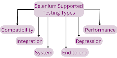 Selenium Supported Testing types