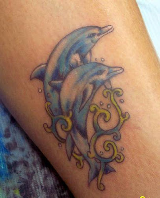 Popular Dolphin Tattoos For Women
