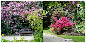 The Lost Gardens of Heligan