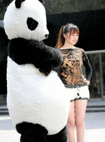 Chicas lindas con pantalones de panda