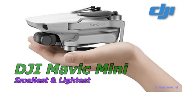 DJI Mavic Mini