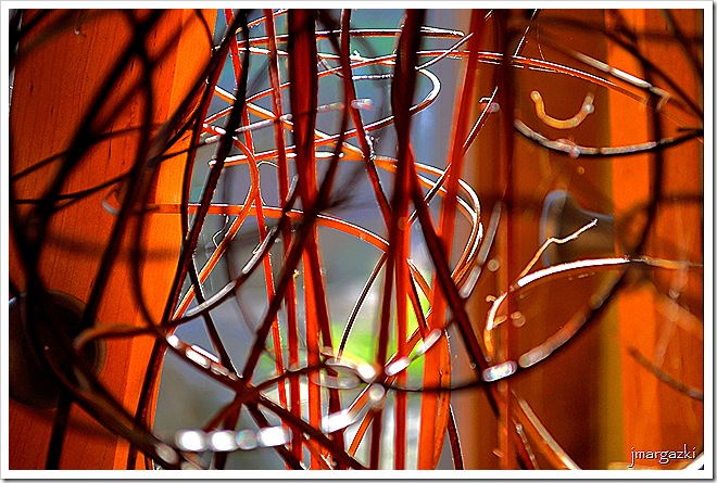 DSC_0175_01