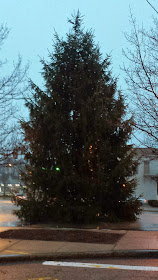 Christmas tree downtown Franklin