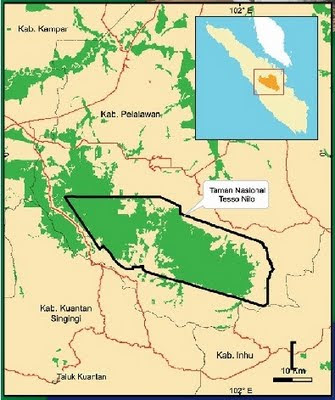 Taman Nasional Tesso Nilo (TNTN) Riau | Attayaya Blog