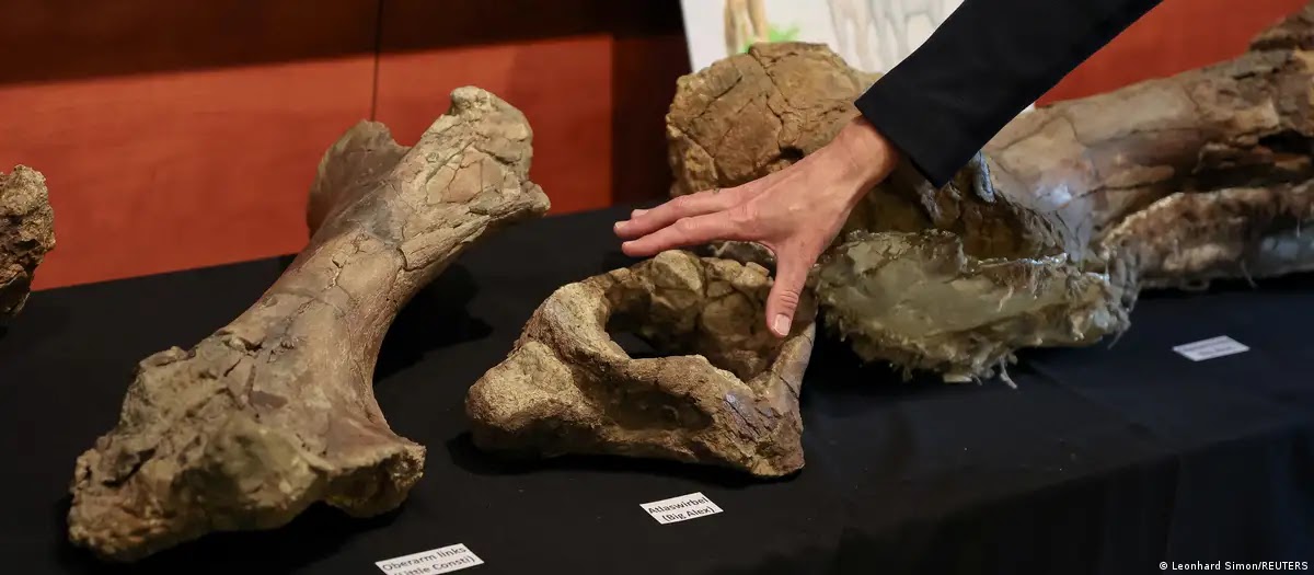 Οστά Δεινοθηρίων που βρέθηκαν στο Έρντινγκ της Βαυαρίας. [Credit: Leonhard Simon/REUTERS]