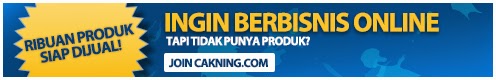 jual sepatu pria