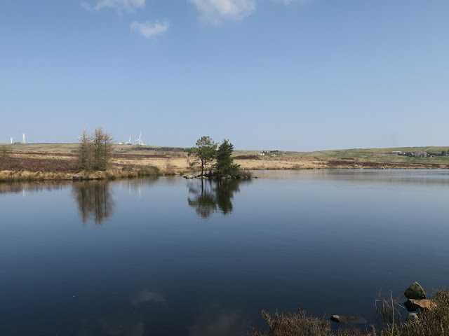 Small island in reservoir near Wainstalls, West Yorkshire with wind turbines in distance.