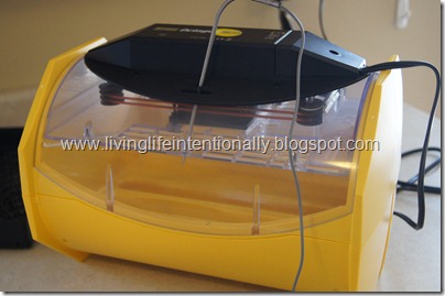 Brinsea 20 Incubator for homeschool science chicken egg hatching