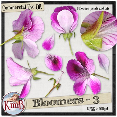 kb-bloomers3