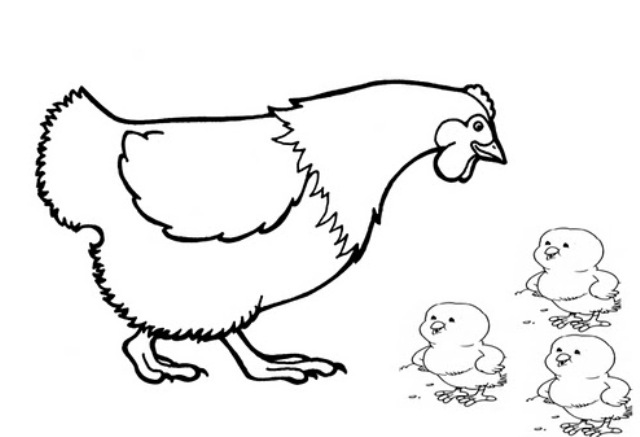 Mewarnai Gambar Binatang Ayam