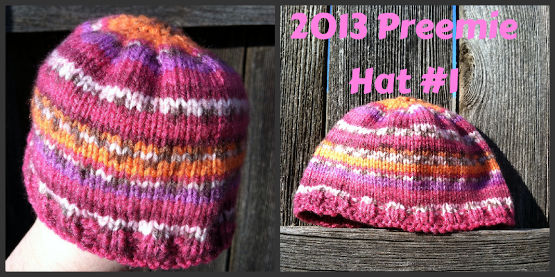 2013 Preemie Hat 1