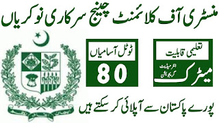 Ministry of Climate Change Jobs 2024 - MOCC Online Application Form