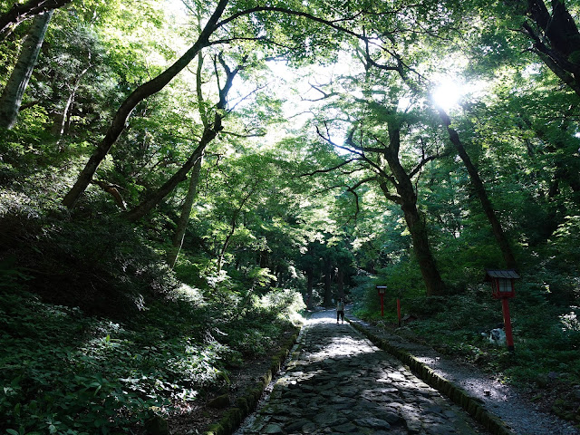 大神山神社の参道