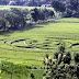 Cara mengetahui Keaslian Crop Circle