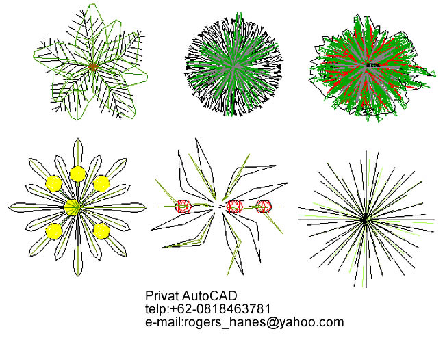 PRIVAT AutoCAD Profesional: February 2011