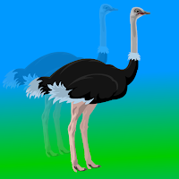 Play Cute Ostrich Escape