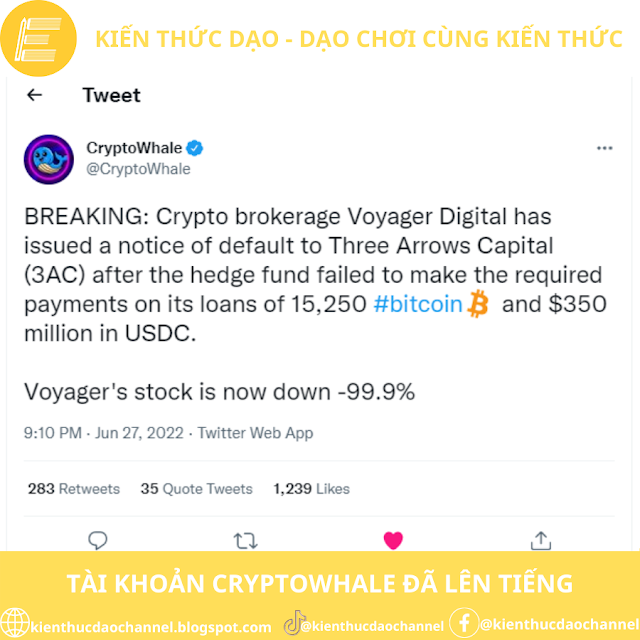 Tài khoản CryptoWhale đã đưa tin về mối quan hệ giữa 3AC và Voyager Digital