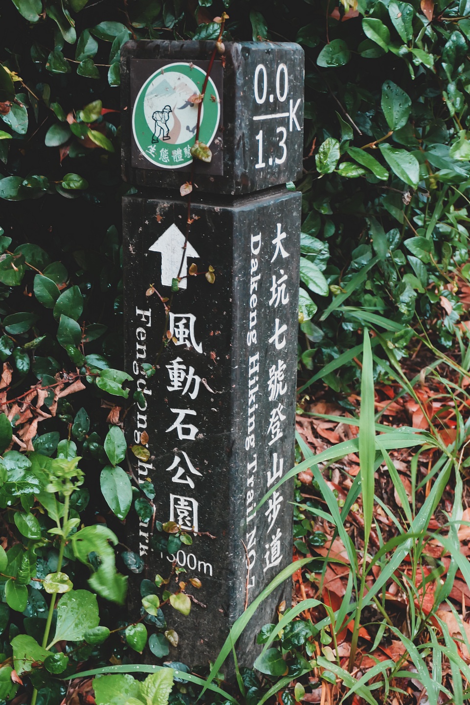 大坑登山步道