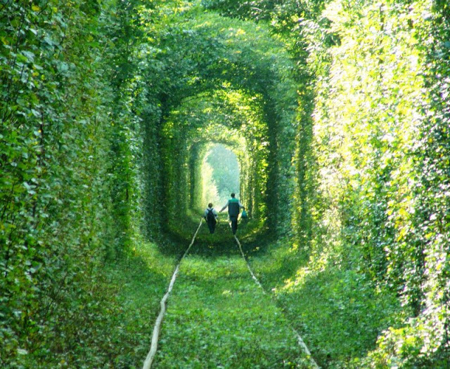 Tunnel of love in Ukraine