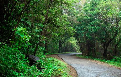 Sanjay Gandhi National Park, Haunted places in India, most haunted places, the scary book,