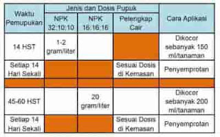 Pupuk untuk Stroberi agar Subur dan Produksi Buah Lebat