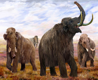 Woolly Mammoth Wallpaper