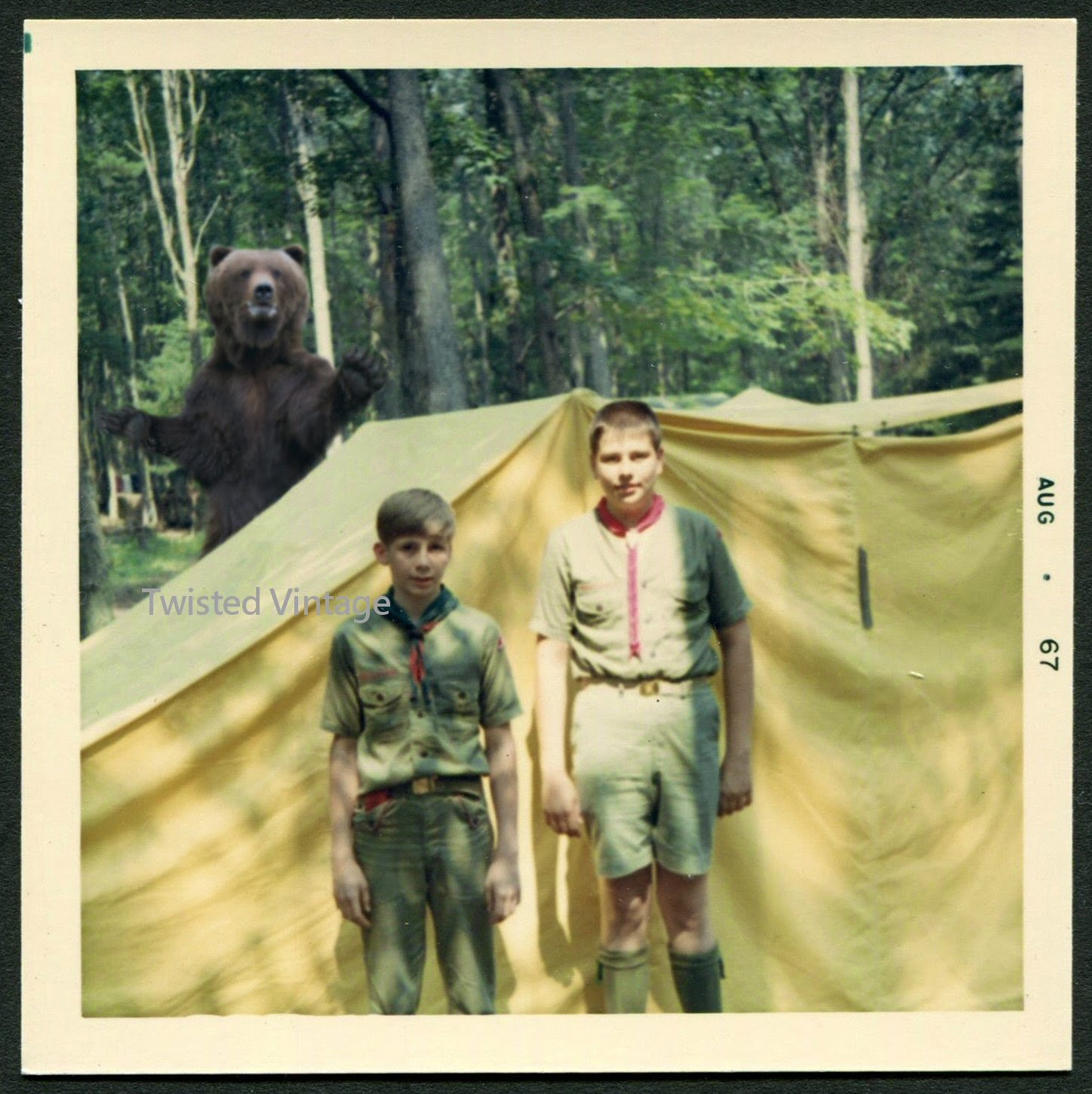 Grizzly Bear Photobomb '67