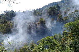 Sinergi Tim Gabungan Padamkan Kebakaran Kawasan Purbakala Candi Gedong Songo