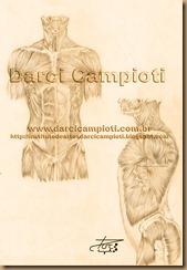 anatomia 1110001