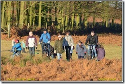 Bradgate Park Winter Scenes